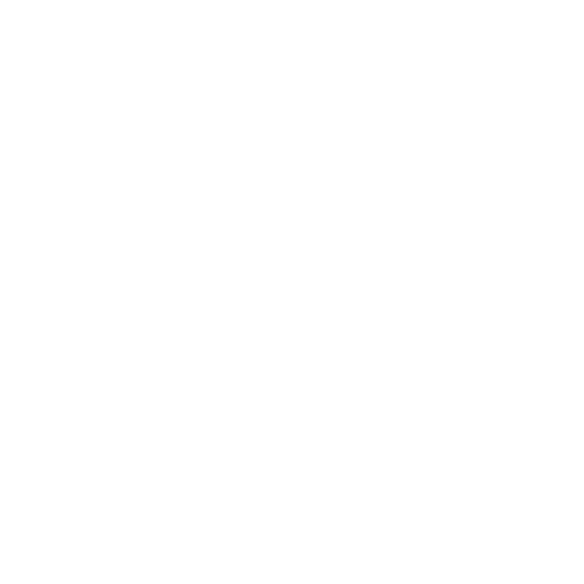 Audi-copher (1)